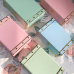Vintage Pastel Trunks